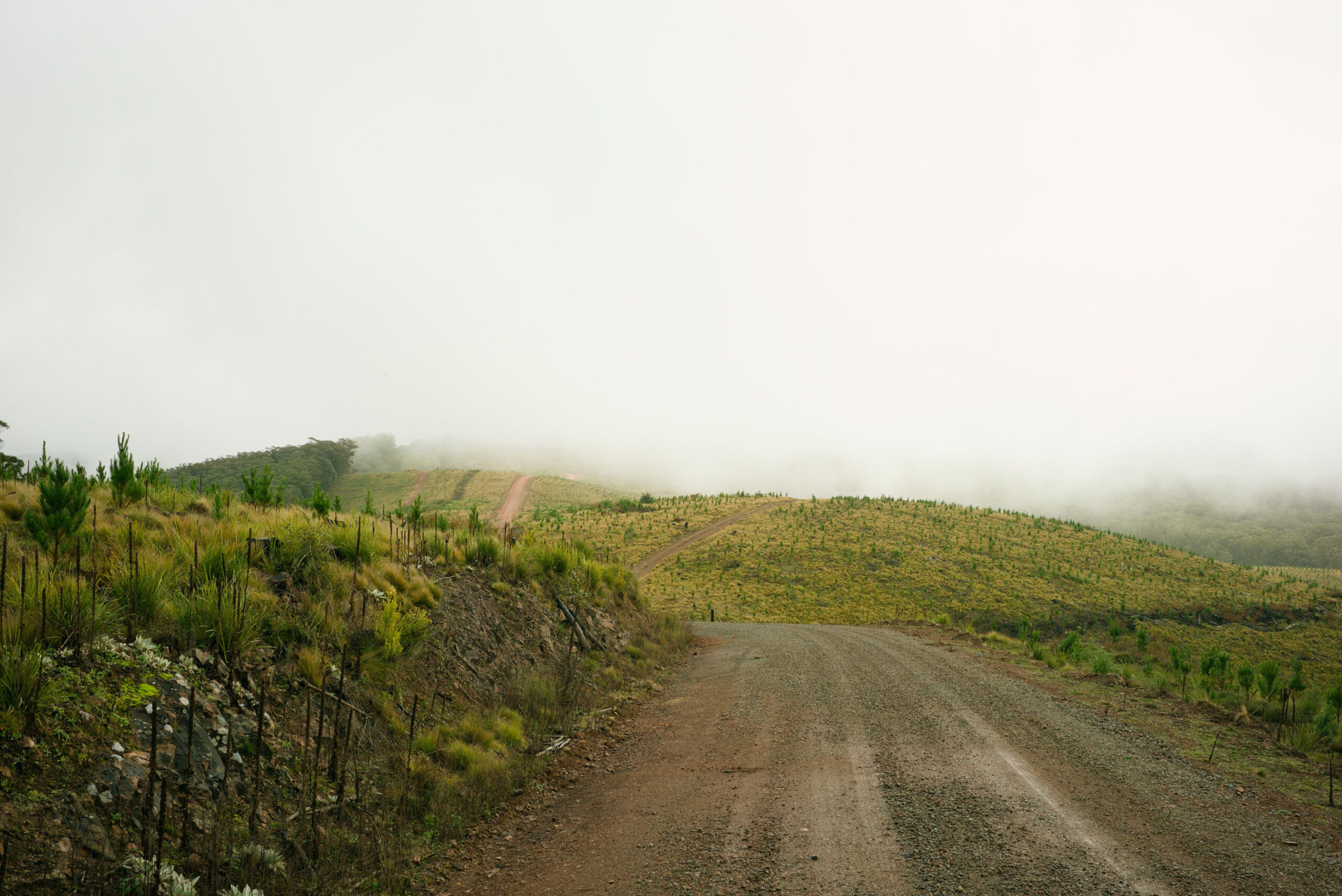 The colours of a journey
